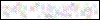 Auth Image