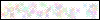 Auth Image