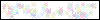 Auth Image